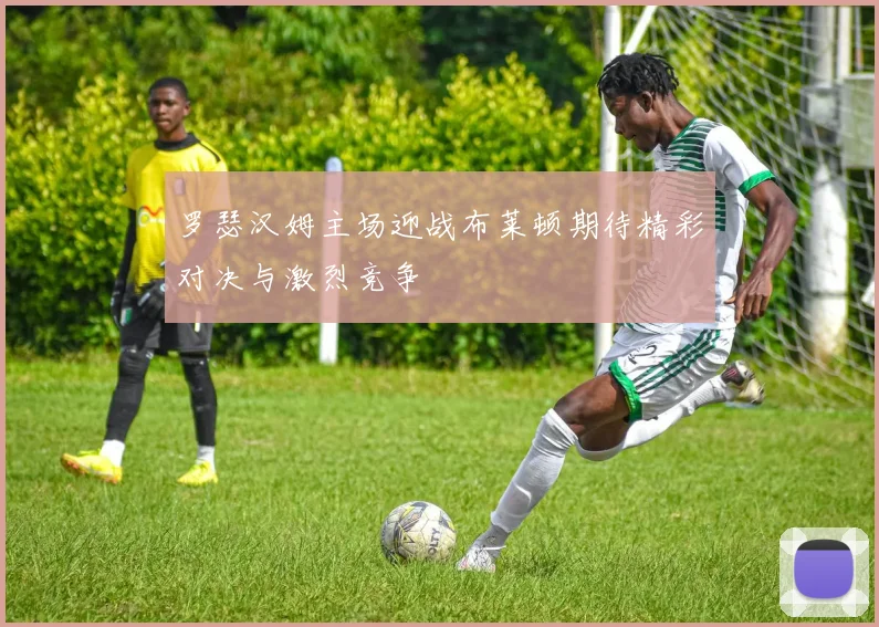 罗瑟汉姆主场迎战布莱顿期待精彩对决与激烈竞争